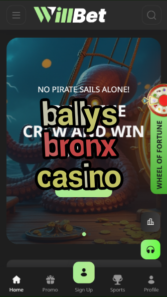 ballys bronx casino-asdasdzhjkds.com